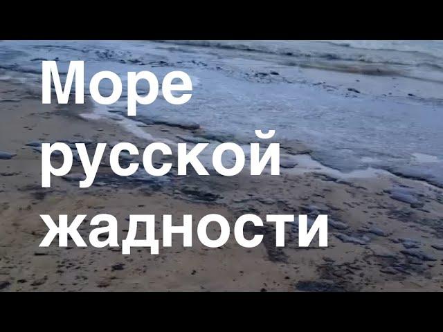 РУССКАЯ АЛЧНОСТЬ ОЧЕРНИЛА ЧЕРНОЕ! ЗАМАЗАЛИ МАЗУТОМ, А ЗАТЕМ ВЗЯЛИСЬ КОПАТЬ! Лекция историка А. Палия