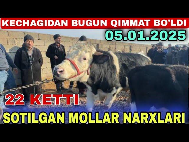 BUGUN MOL QAYTMADI SURXONDARYO QIZIRIQ JAXON MOLBOZORI 05.01.2025