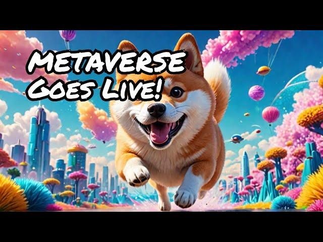 Shib The Metaverse Is Live 