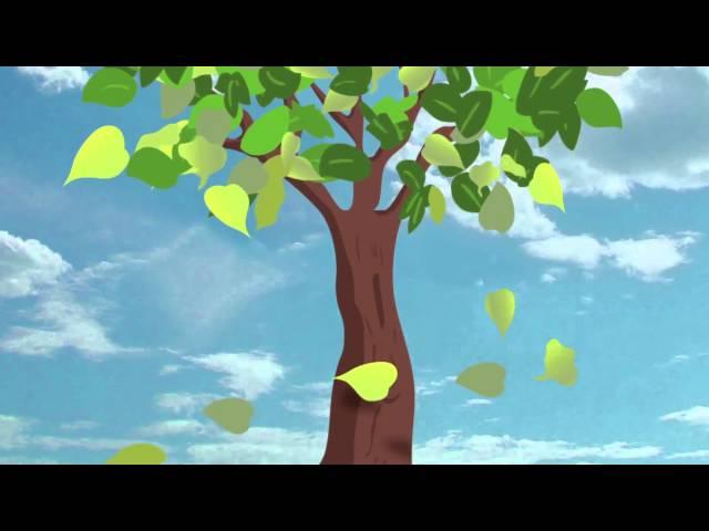 Falling Leaf Animation