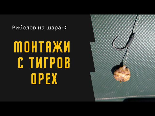 Риболов на шаран: Монтажи с тигров орех