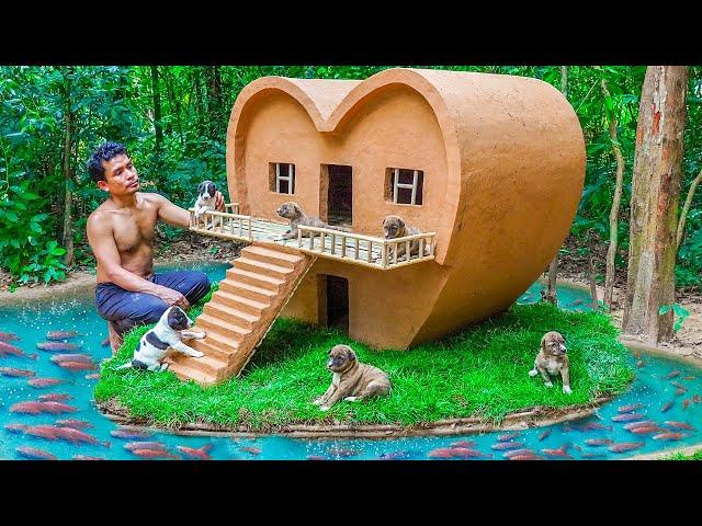 Dog rescue and build Loving Dog House - Build House for Puppies