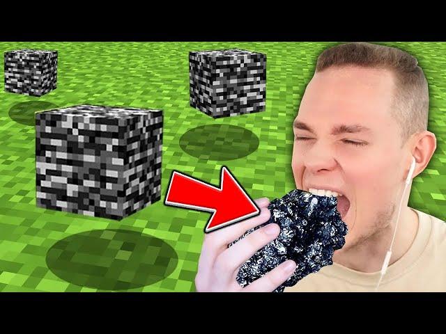 Wir PROBIEREN MINECRAFT ESSEN in der REALITÄT!