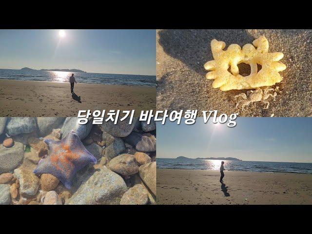 [커플여행] 당일치기 태안 바다 여행 VLOG (ft. 게와 꽃게랑이 마주쳤을 때)