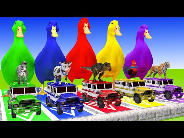 5 Giant Duck Cartoon Cow, Lion, T-Rex, Tiger, Zebra Paint Wild Animals Crossing Fountain Animation