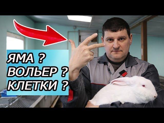 КАК СОДЕРЖАТЬ КРОЛИКОВ? 3 МЕТОДА НА ВЫБОР!!