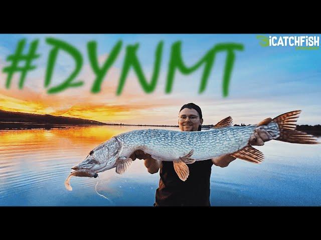 New Era mit DYNMT - Hechtangeln - Wir testen neue Köder! #iCatchFish #Majestic #TheOne #TheOnly #PB