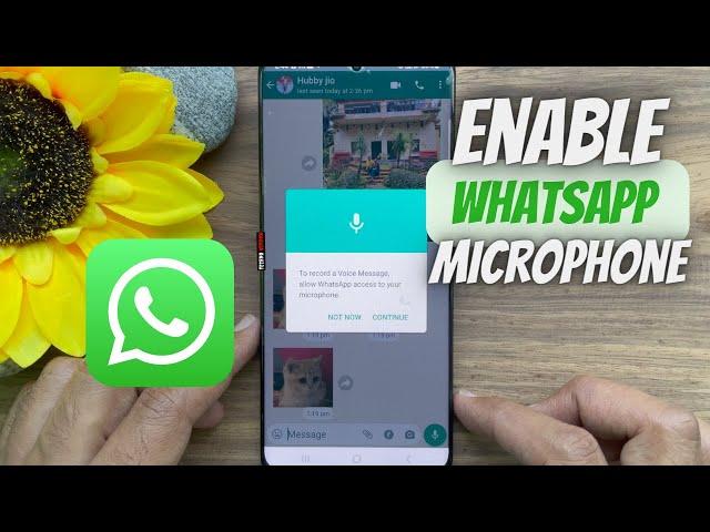 How to Enable Microphone on WhatsApp in Samsung Galaxy Devices