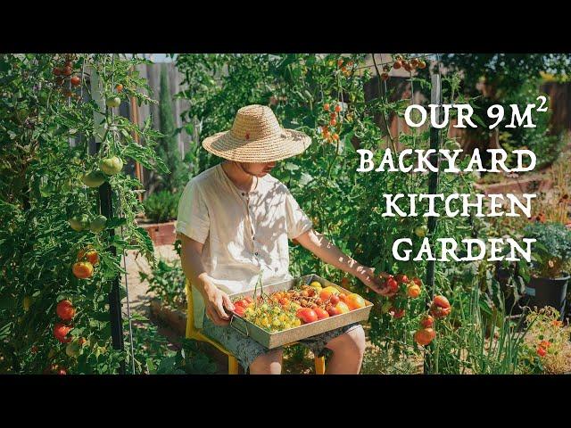 Our 9 sqm backyard kitchen garden, 6-month vegetable garden journey