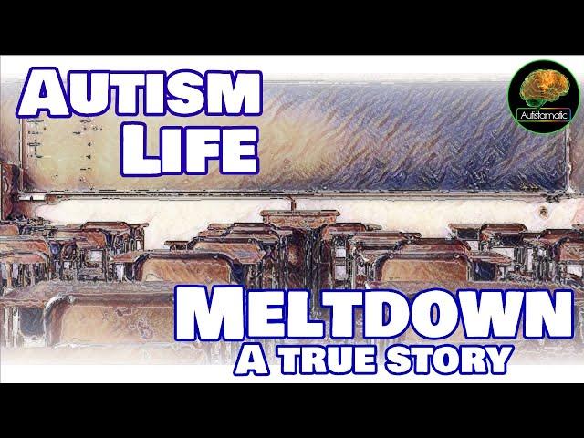 Autism Life: Meltdown - a True Story