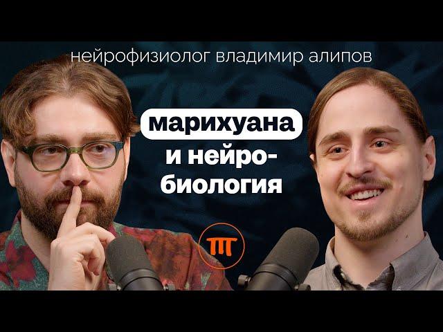 Каннабис/Конопля/Марихуана: вокруг чего столько споров? Нейробиолог Владимир Алипов