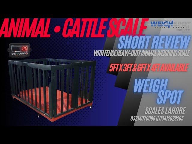 ANIMAL SCALE | CATTLE SCALE | ANIMAL WEIGHT SCALE | REVIEW |#weighingmachine #cattlefarm