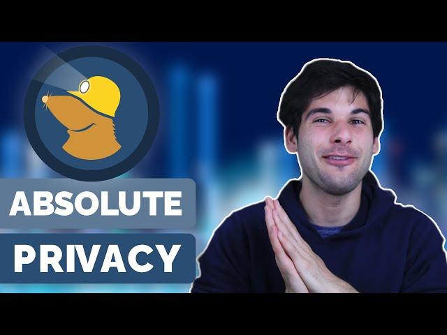 The TRULY Private VPN! - Mullvad VPN Review