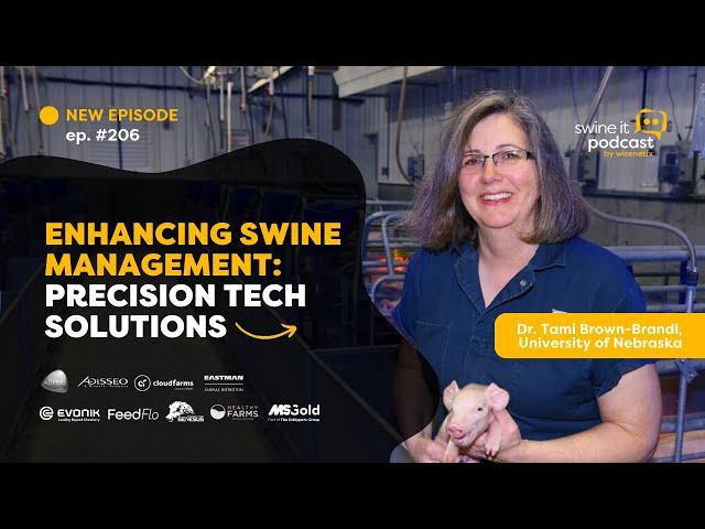 Dr. Tami Brown-Brandl: Precision Swine Management | Ep. 206