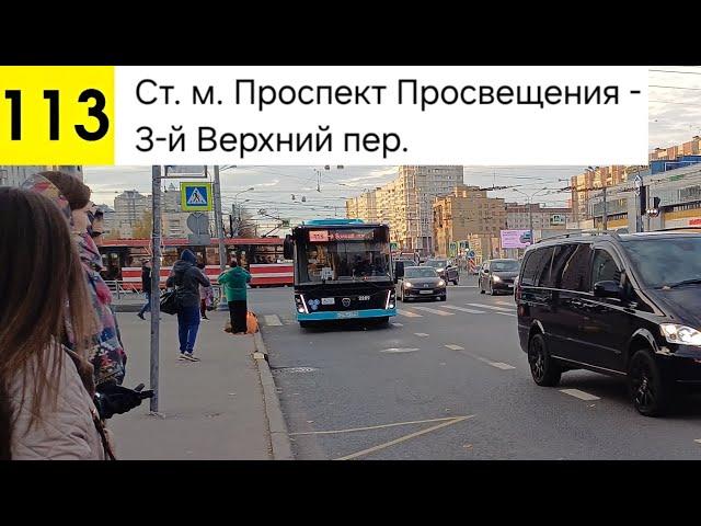 Автобус 113. Ст. м. Проспект Просвещения - 3-й Верхний пер.