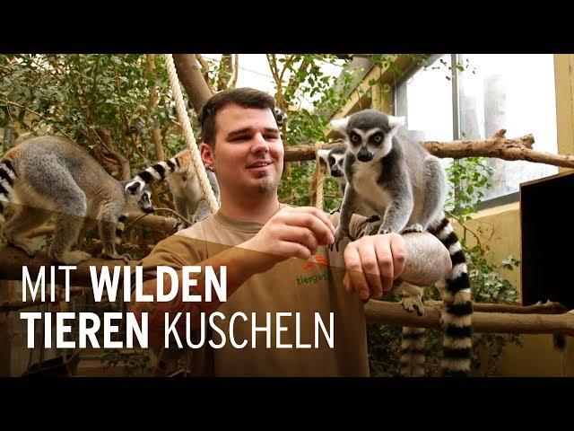 Mit wilden Tieren kuscheln - Die Ausbildung zum Tierpfleger