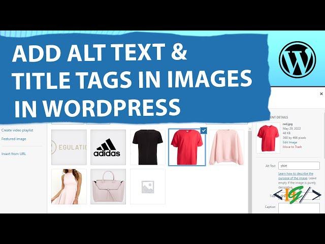 How to Use Title Tags and Alt Text to Your Images in WordPress | Add Alternative Text