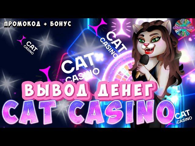 Обзор Cat casino | Промокод Cat казино | Вывод денег Кэт казино №6