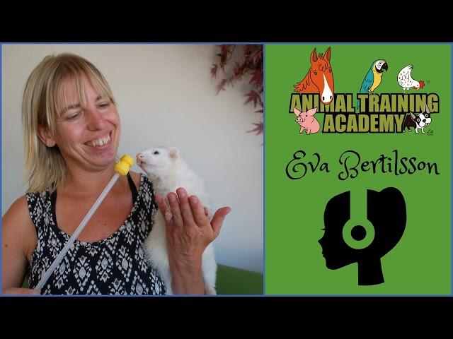 Cooperative Care: A Conversation with Eva Bertilsson - part 2 [Episode 224]