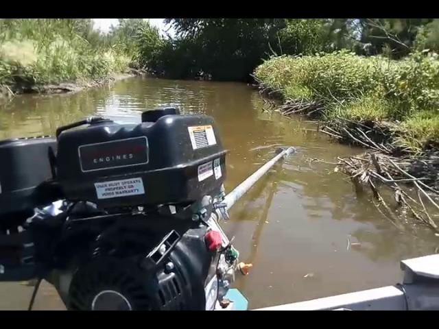 Mud Skipper long tail mud motor fun