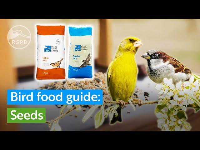 What kinds of seeds should I feed to garden birds? | RSPB bird food guide