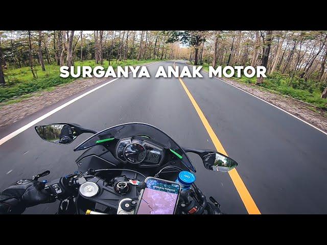 TOURING MALANG-BALI ZX636 ft. YAMAHA R1M (PART 2) | INDAHNYA BALURAN!