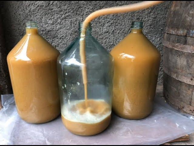 Wine making with oldest traditional method / Homemade Georgian Wine