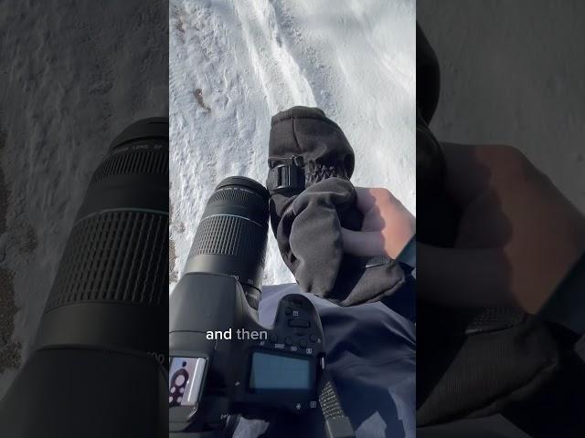 How to keep your hands warm doing winter photography!  #minnesota #hiking #naturephotography