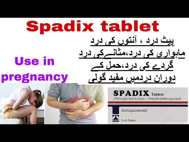 spadix tablet uses in urdu| spadix tab use in pregnancy|Benefits side effects how to use