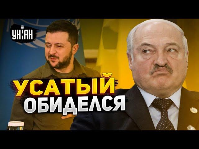 Лукашенко назвал Зеленского "гнидой" и бросил ему вызов - Шейтельман объяснил