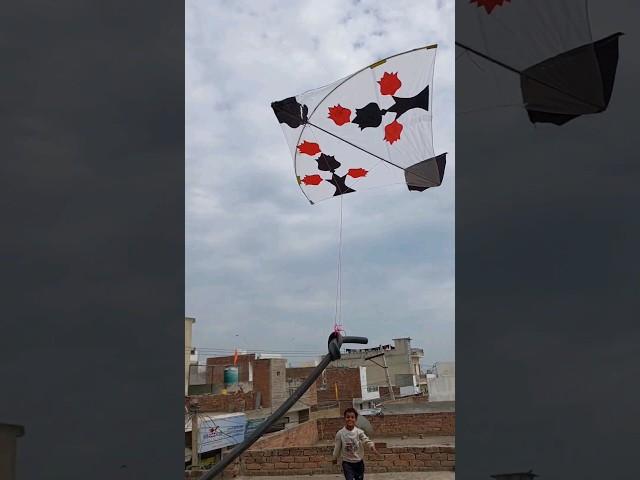 FLY A KITE USING A WATER PIPE  #shorts #pkcrazyexperiments