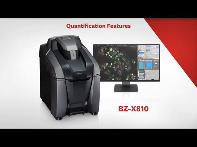 All-in-One Fluorescence Microscope | KEYENCE BZ-X Series