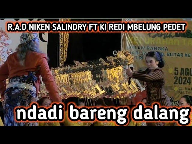 terbaru Niken Salindry ft Redi mbelung pedet ndadi bareng, Majenang talun