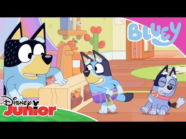 Bluey's Adventures | Bluey  | Disney Junior Arabia