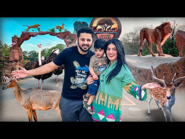 BEST EXPERIENCE OF WILDLIFE  | Lion & Ostrich Ny Attack Ker Dea  | Lahore Safari Park ️