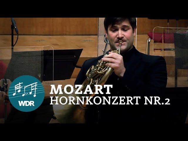 W.A. Mozart - Horn Concerto No. 2 in E-flat Major, KV 417 | Přemysl Vojta | WDR Symphony Orchestra