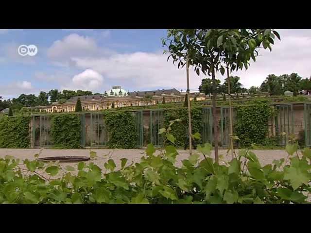 Potsdam - Schloss Sanssouci | Hin & weg