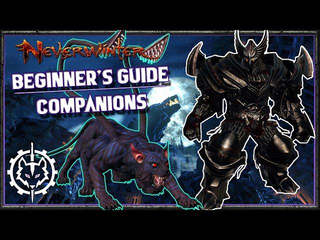 Neverwinter | Beginner's Guide: Companions