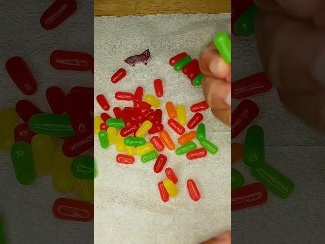 Mike And Ike Original Fruits Candy #shorts #mikeandike #candy #food #sweet