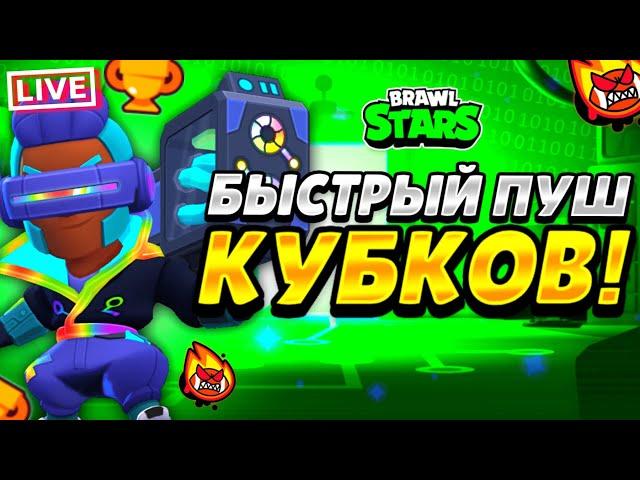 ШЕЛЛИ НА 30 РАНГ В СОЛО ШД 900+! СТРИМ BRAWL STARS