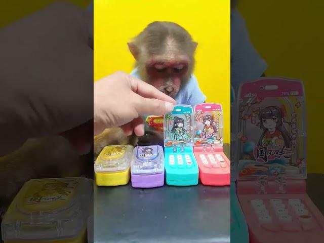 Little Monkey Reviews Four Candy Colored Phones