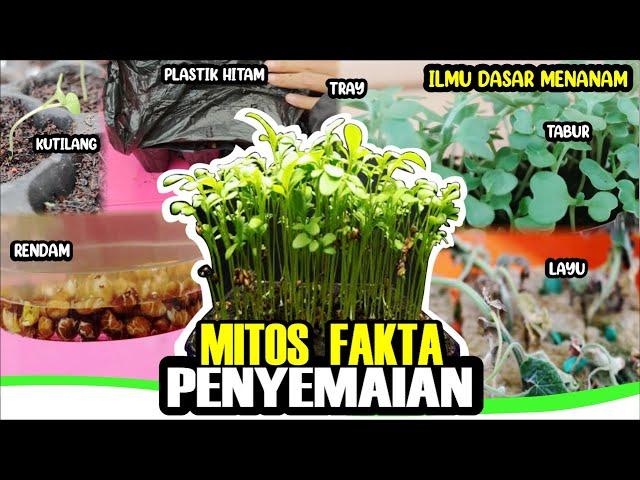 TERNYATA SELAMA INI SALAH!! Mitos Fakta Cara Menyemai & Menanam Tanaman