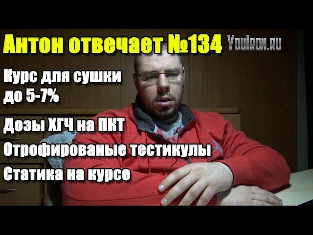 №134 КУРС НА СУШКУ | ДОЗЫ ХГЧ НА ПКТ | СТАТИКА НА КУРСЕ