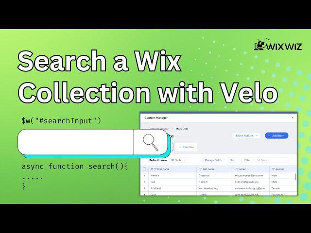 How to make a Dynamic Search Bar for Wix Data Collections | Wix Website Tutorial (Velo)