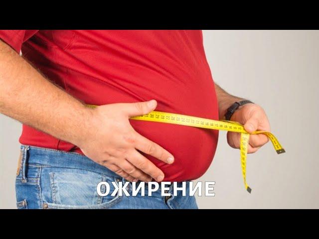 Ожирение: причины, диагностика, лечение