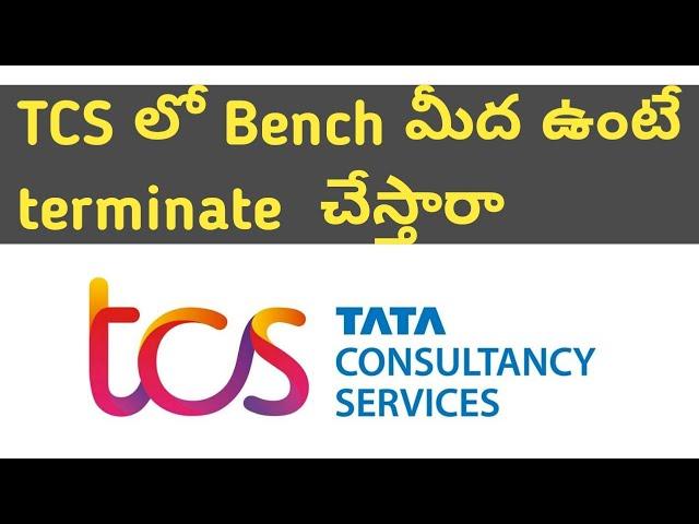 will you be terminated if you are on bench for long time || #tcs #tcsupdate #bench #2022 #india