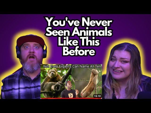 You've Never Seen Animals Like This Before @mndiaye_97 | HatGuy & @gnarlynikki