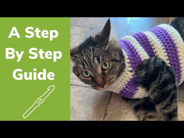 Easy Crochet Cat Sweater Tutorial