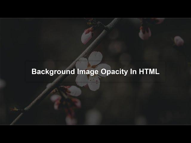 How To Set Background Image Opacity In HTML | Opacity In CSS
