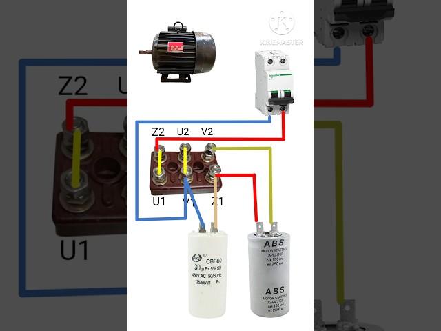 Wiring of Forward and reverse rotation of single phase dual capacitor motor #singlephasemotor